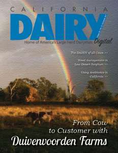 California Dairy Digital Magazine: November Issue