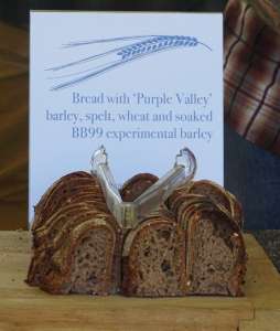 Why do we need to keep breeding new crop varieties?