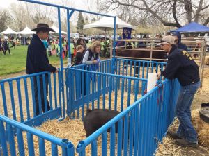 Secretary Ross with members of the Delta FFA