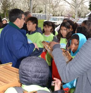 Learning about pollinators
