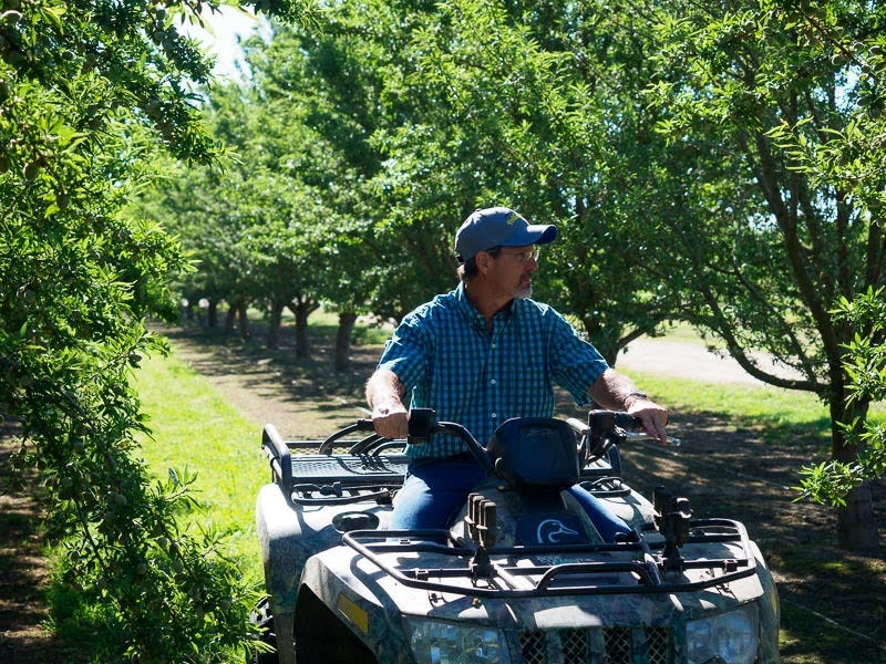 Almond-Acreage-Increase-PNP