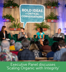 Bold ideas and Critical Conversation 