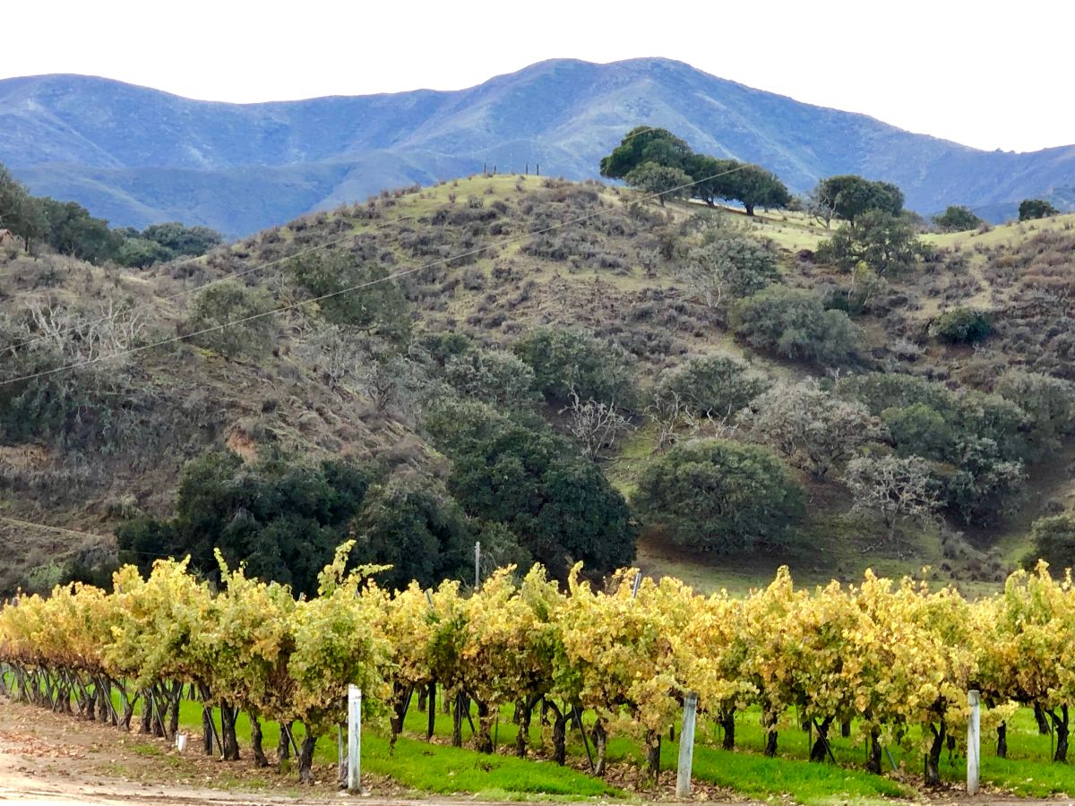 Travel California Wine Country's Back Roads 