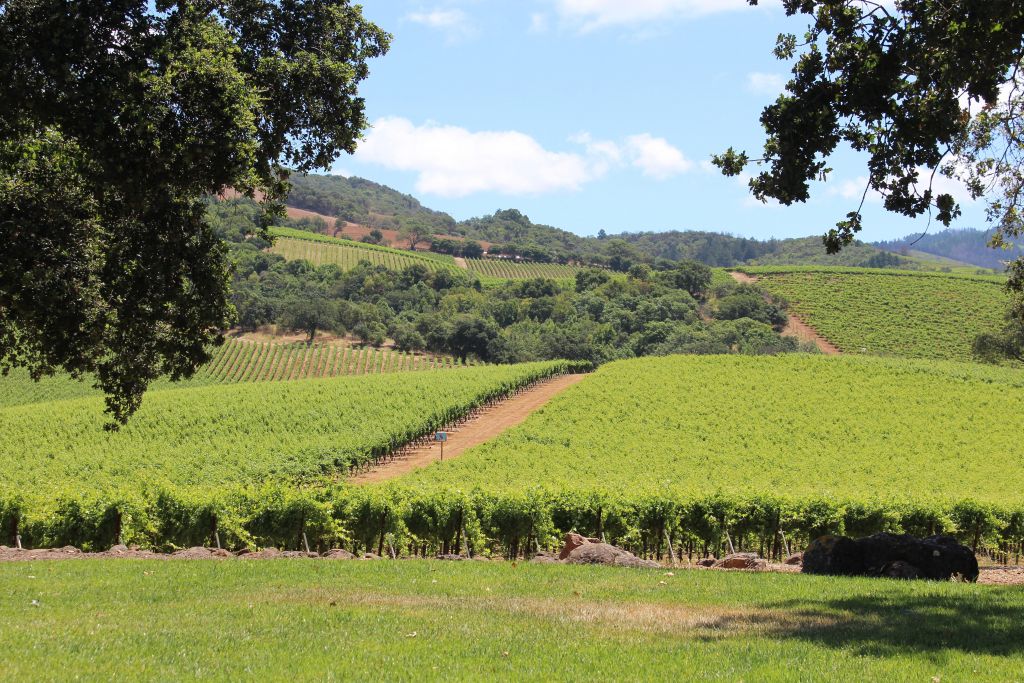 Russian River Valley 